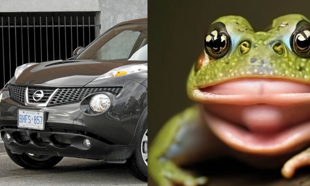 Frog looking Nissan Juke