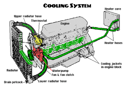 Car Coolant Price Breakdown: It's Not Just About the Label